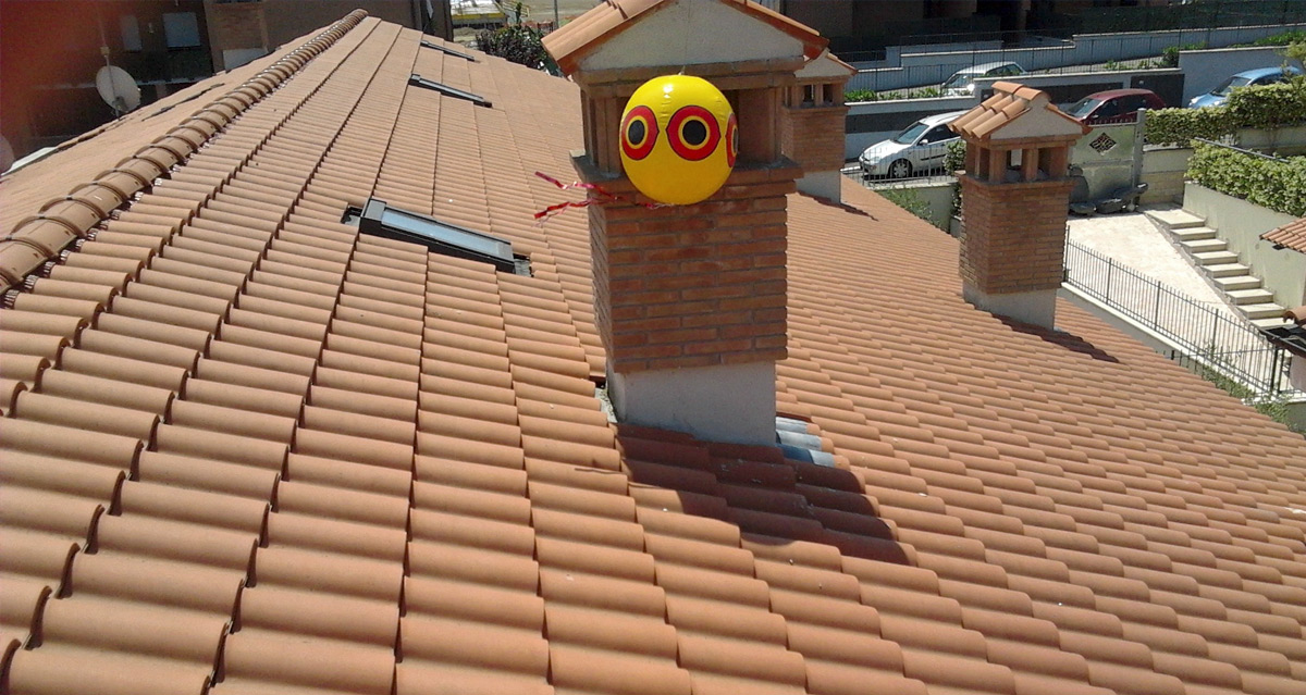 Dispositifs acoustiques de dissuasion des pigeons: avantages, inconvénients et installation