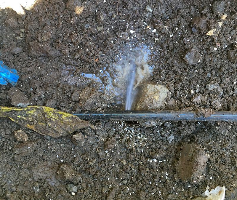 Infiltration d’eau par le sol : causes, solutions et prévention - Guide complet